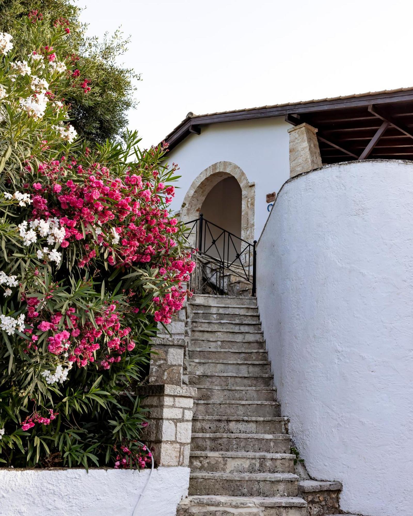 Mount Minis - Casa Bruno Vila Syvota Exterior foto